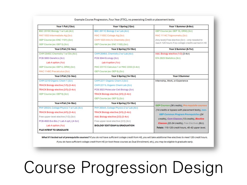 Structured four-year course progression model